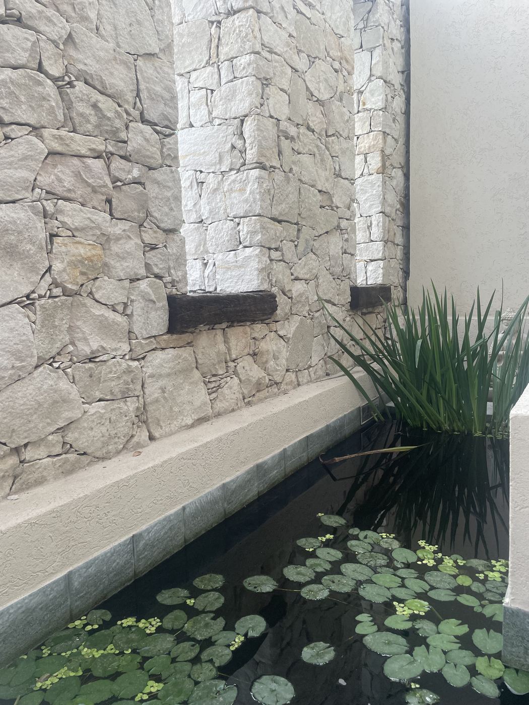 Detalle de estanque con piedra en obra de Estudio Aranoa